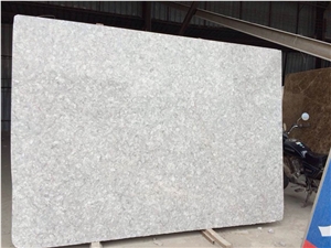 Polished Shells Reef Beige Limestone Slabs, Tiles,Thin Panels Polished Shells Reef Beige Limestone Slabs, Tiles,Thin Panels