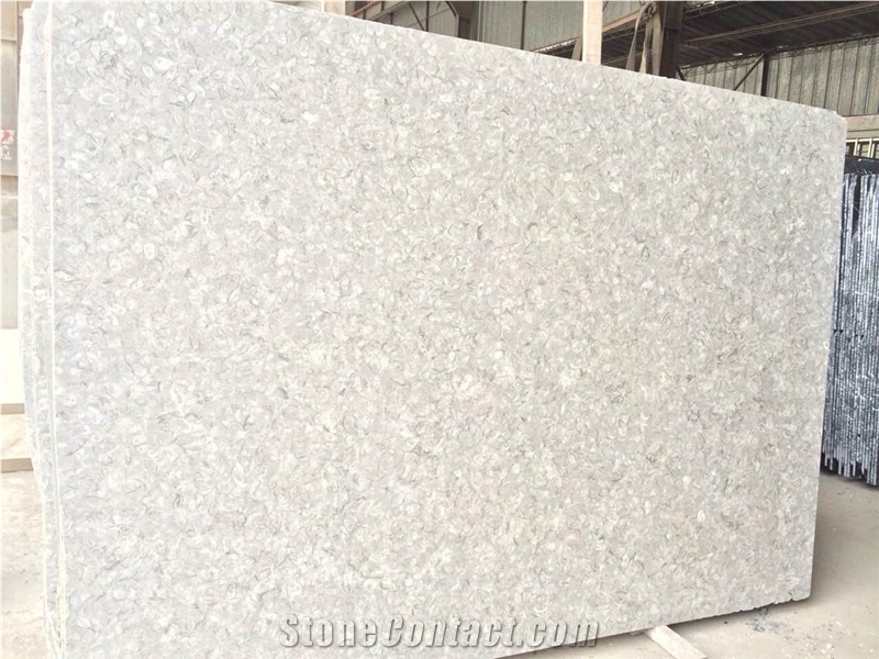 Polished Shells Reef Beige Limestone Slabs, Tiles,Thin Panels