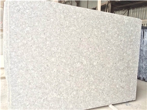 Polished Shells Reef Beige Limestone Slabs, Tiles,Thin Panels