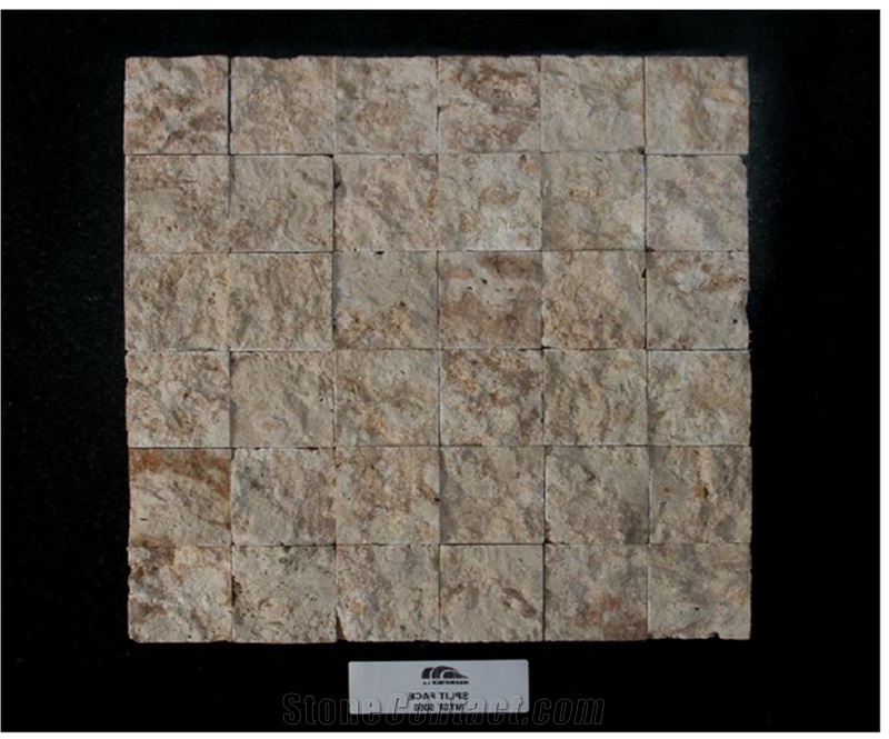 Classic Coral Stone 3d Mosaic