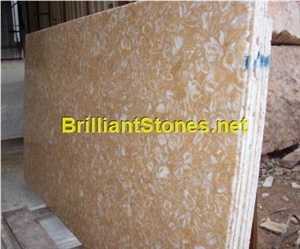 Shells Reef Beige Limestone Slab, Syria Yellow Limestone Shells Reef Beige Limestone Slab, Syria Yellow Limestone