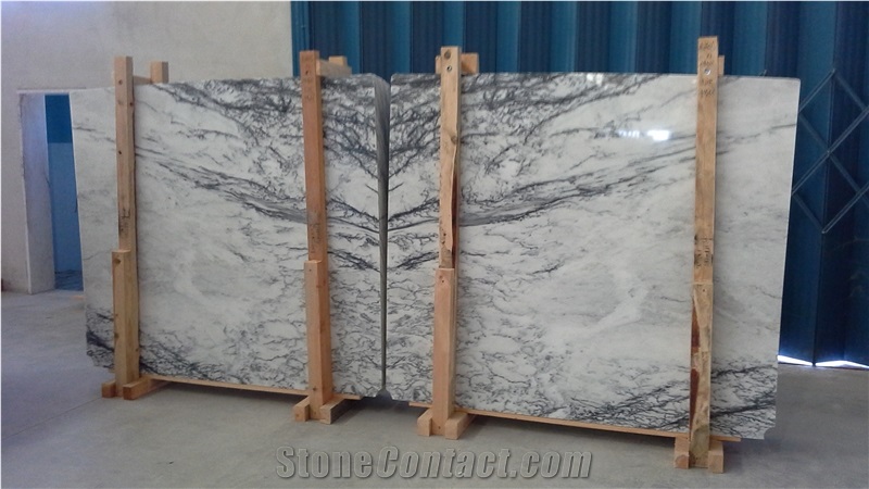 Dynossaurus Marble Slabs