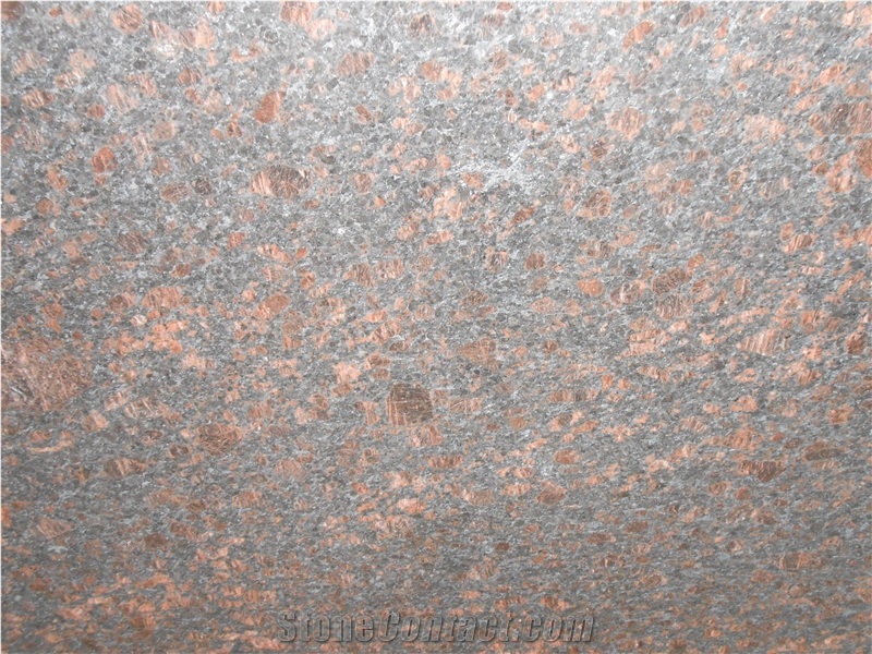 Tan Brown Granite Slabs, India Brown Granite
