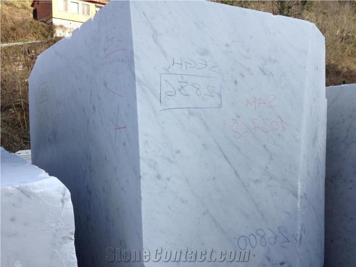 Bianco Carrara C Marble, Italy White Marble Block