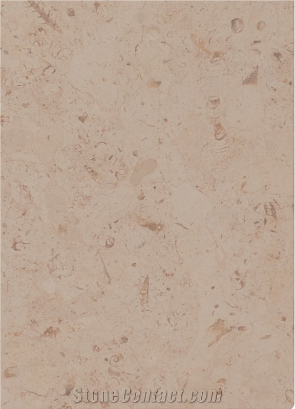 Jerusalem Yellow Hf23 Slabs & Tiles, Jerusalem Yellow Limestone Slabs & Tiles
