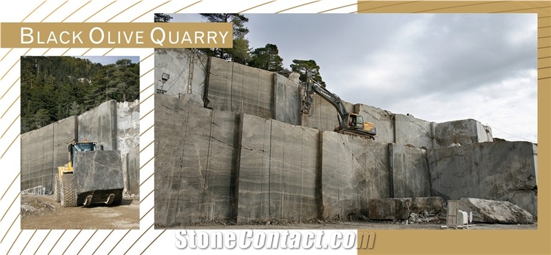 Black Olive Marble Slabs & Tiles, Olive Dark Marble Slabs & Tiles