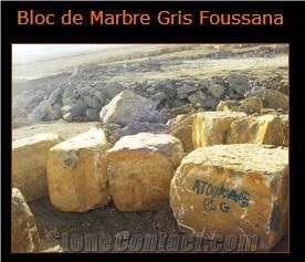 Grey Foussana Limestone Block, Tunisia Grey Limestone Grey Foussana Limestone Block, Tunisia Grey Limestone
