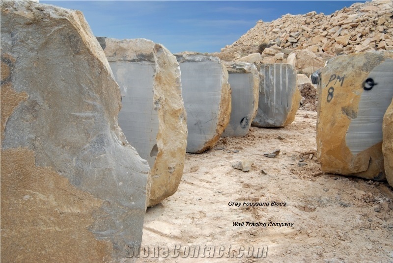 Grey Foussana Tiles and Slabs, Royal and Luxurious Marble from Tunisia