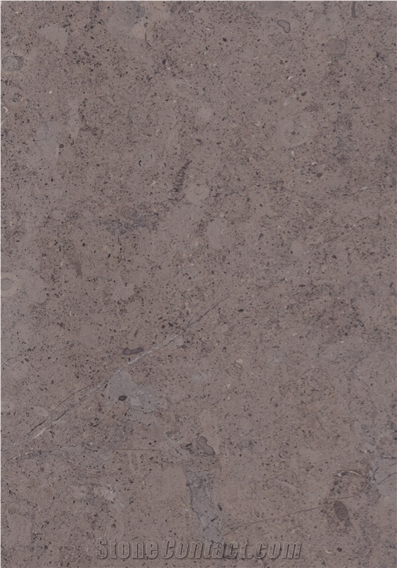 Bz1700 Honed / Jerusalem Royal Black Limestone Tiles and Slabs from Holyland