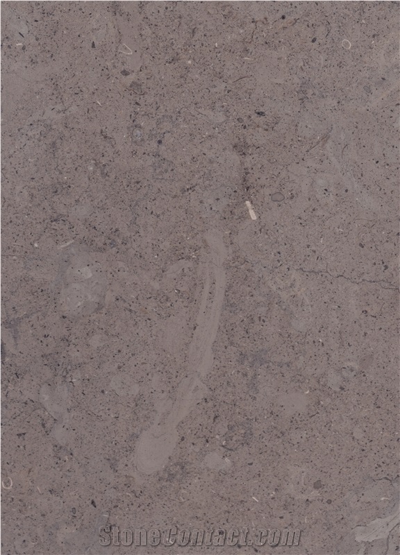 Bz1700 Honed / Jerusalem Royal Black Limestone Tiles and Slabs from Holyland