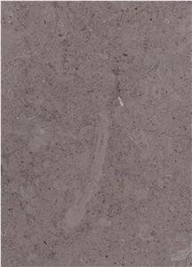 Bz1700 Honed / Jerusalem Royal Black Limestone Tiles and Slabs from Holyland