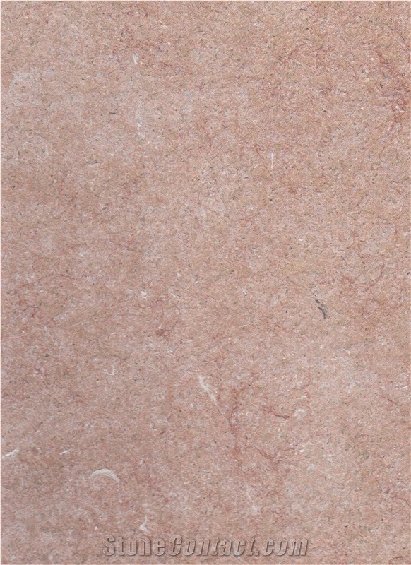 Ks1600 Flamed / Jerusalem Limestone Tiles and Slabs from Holyland