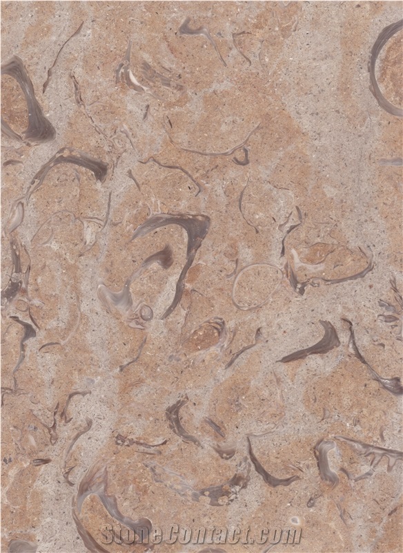 Ks1650 Honed / Limestone Tiles and Slabs from Holyland