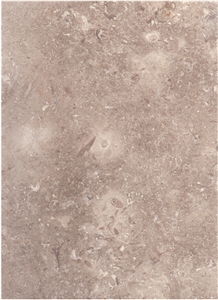 Rg2100 Polished / Jerusalem Limestone Tiles and Slabs from Holyland