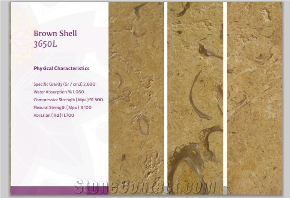 Au Shells Brown 3650l - Brown Shell 3650l, Brown Shell Limestone Brushed