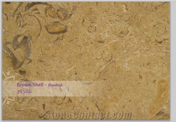 Au Shells Brown 3650l - Brown Shell 3650l, Brown Shell Limestone Brushed