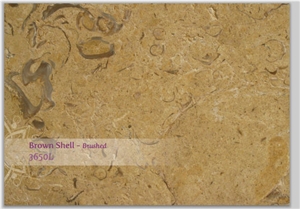 Au Shells Brown 3650l - Brown Shell 3650l, Brown Shell Limestone Brushed