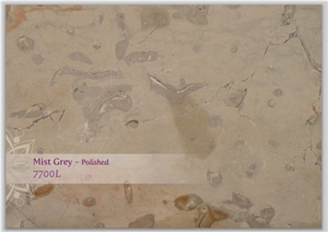Mist Grey Limestone Polished
