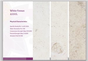 White Fossus 4200l Limestone Polished White Fossus 4200l Limestone Polished