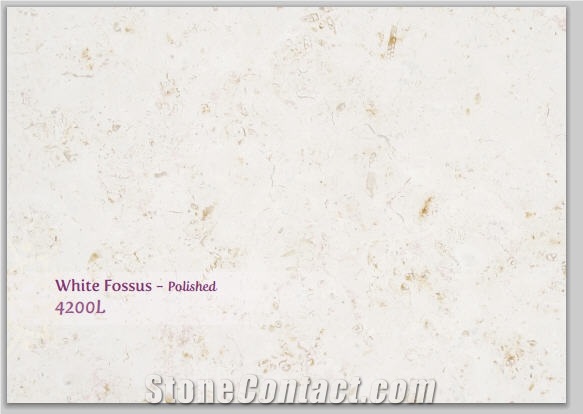 White Fossus 4200l Limestone Polished