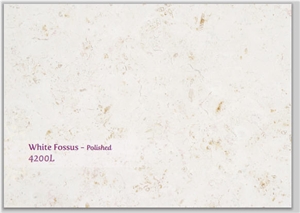 White Fossus 4200l Limestone Polished