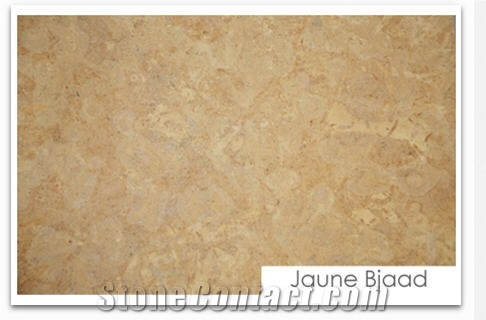 Jaune Bjaad Limestone, Jaune Boujaad Limestone