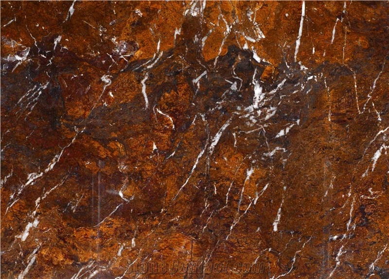 Oak Bamboo Quartzite