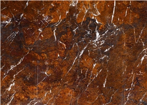 Oak Bamboo Quartzite