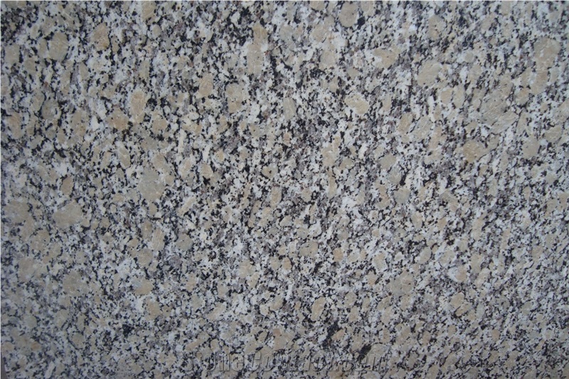 China Giallo Fiorito Granite Tiles & Slabs,China Yellow Granite