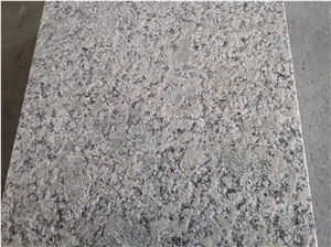 Topazio Imperiale Granite Honed Surface Tiles & Slab,Brazil White Granite