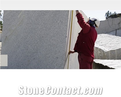 Blanco Artico Granite (Artic White Granite)