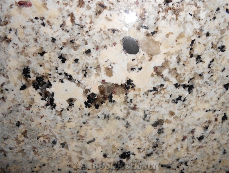 Alaska White Granite Slabs&Tiles