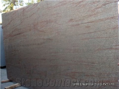 Ghibli Gold Granite Slabs & Tiles,India Yellow Granite