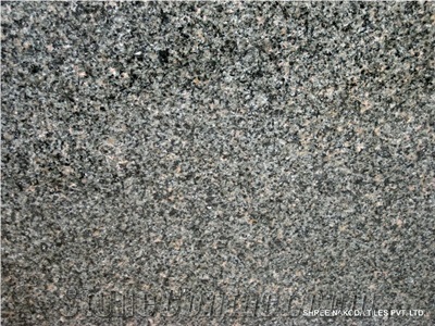 Mokalsar Green Granite Tile, India Green Granite