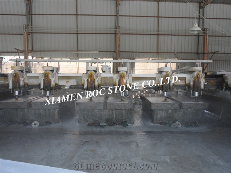 New G603 Granite Slab, China Grey Granite Slab, Chinese New Bacuo White Granite Slab,Sesame White Polished Big Slabs, Padang White Half Slabs and Tiles, Bianco Amoy Wall Tiles, ,Blanco Gamma Pattern