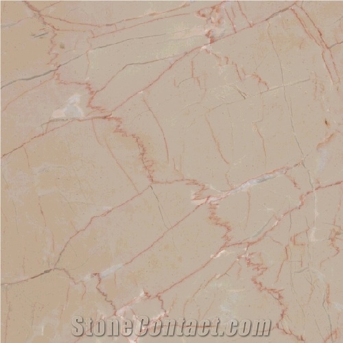 Rosa Atlantide Limestone