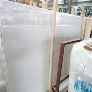 Bianco Dolomiti Marble Slab, White Marble for Walling/Flooring