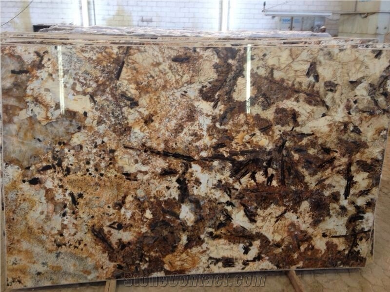Splendour Gold Slabs & Tiles, Splendor Granite Slabs