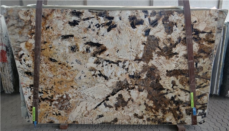 Splendour Gold Slabs & Tiles, Splendor Granite Slabs