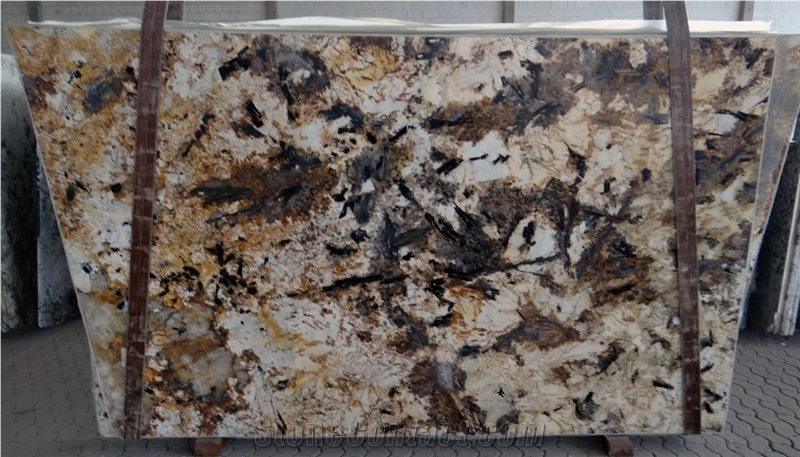 Splendour Gold Slabs & Tiles, Splendor Granite Slabs
