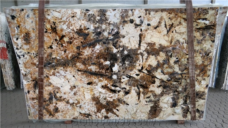 Splendour Gold Slabs & Tiles, Splendor Granite Slabs