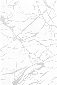 White Luster Printed Ceramic Glazed Wall Tiles