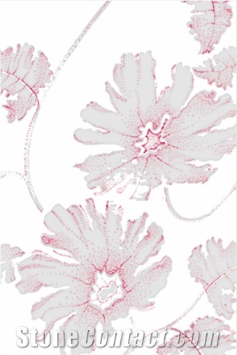 White Luster Printed Ceramic Glazed Wall Tiles