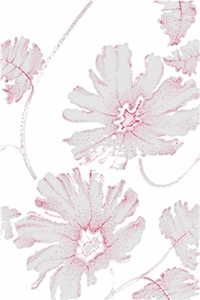 White Luster Printed Ceramic Glazed Wall Tiles