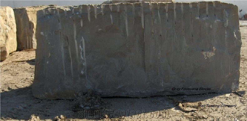 Grey Foussana Limestone Blocks from Tunisia Good Prices