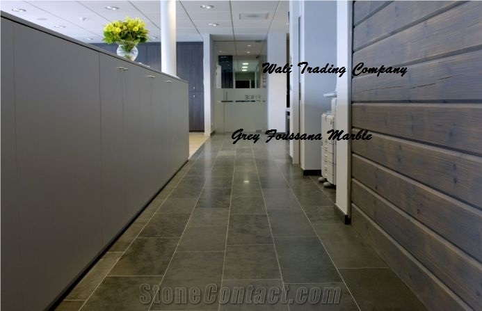 Grey Foussana Limestone Blocks from Tunisia Good Prices