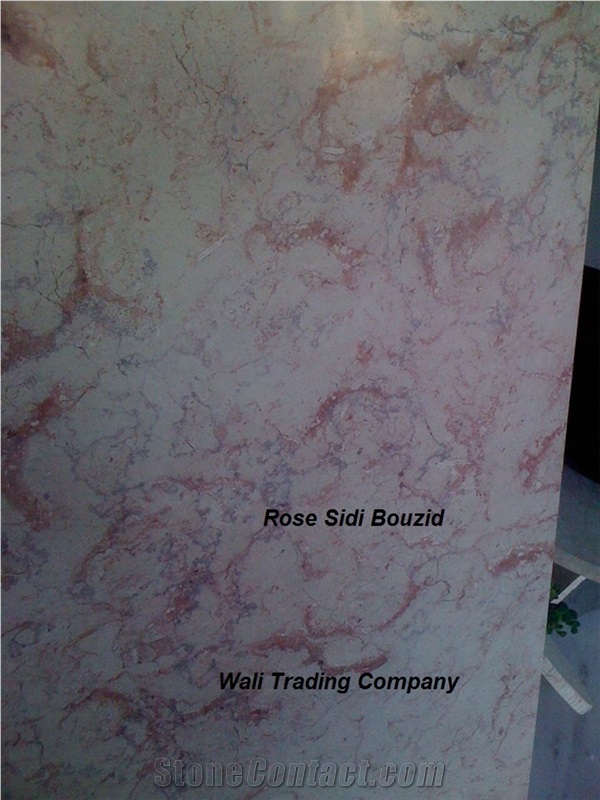 Rose Sidi Bouzid Limestone Blocks from Tunisia Good Prices