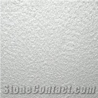 Light Beige Antalya Limestone Shellstone Slabs , Tiles