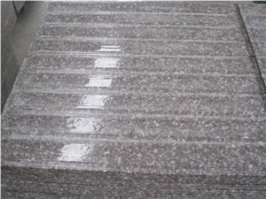 G664 Granite Blind Stone,Luoyuan Red Granite Blind Paving Stone,China Red Blind Road Stone