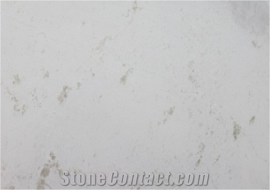 Marble Albino
